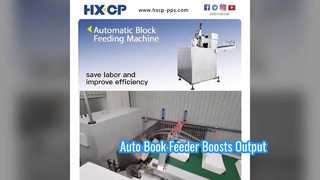 HX100 स्वचालित ब्लॉक फ़ीडिंग मशीन